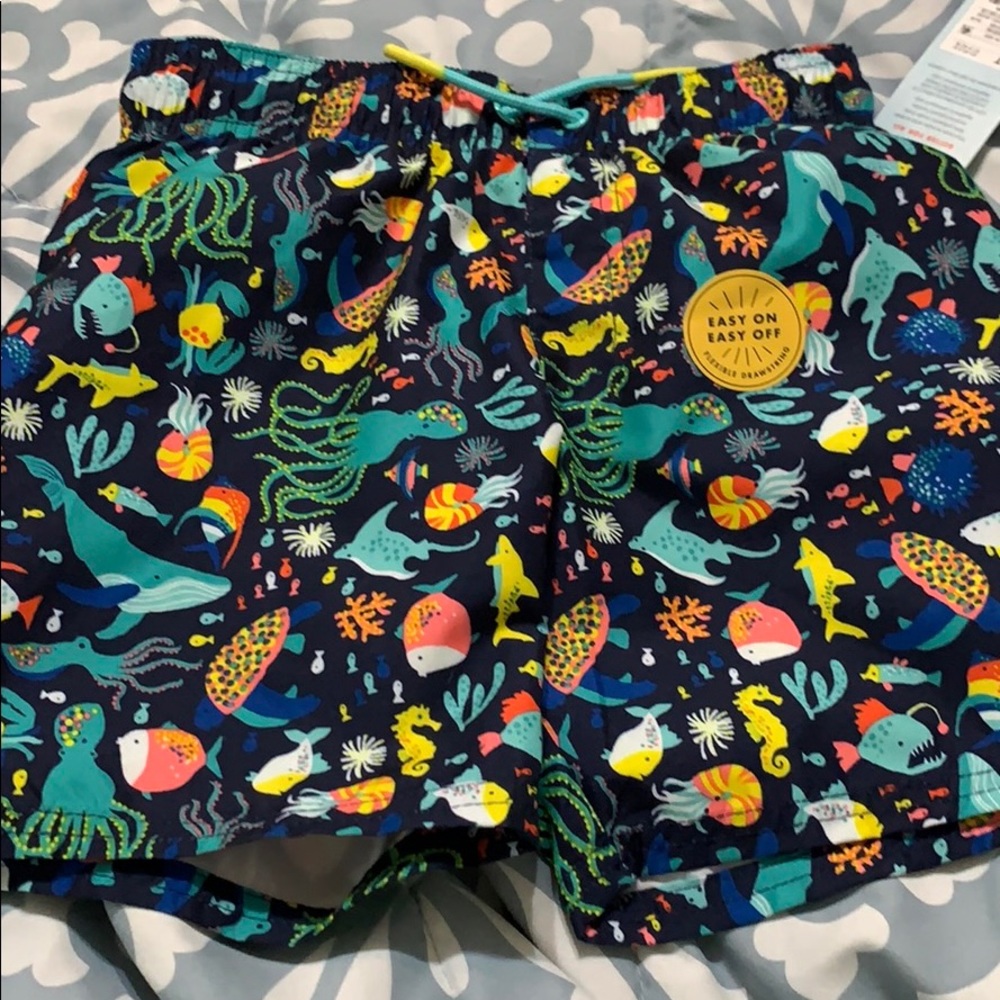 Swim set